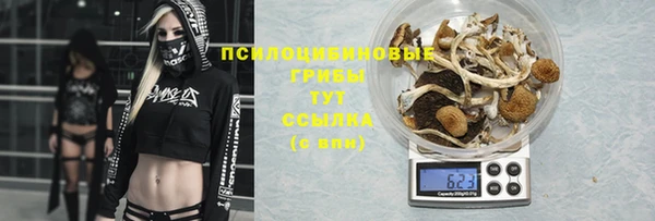 метадон Абдулино