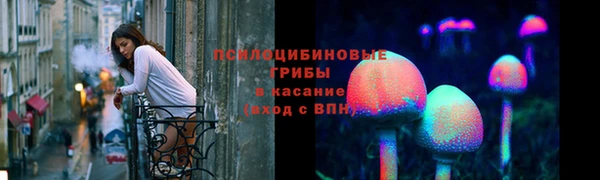 spice Абинск