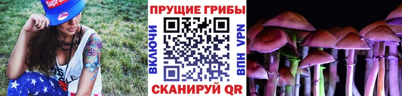 хочу   Никольск  Галлюциногенные грибы GOLDEN TEACHER 